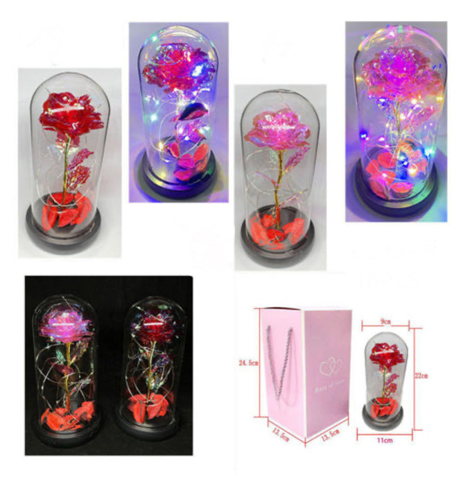 DOME ROSE LED WITH GIFT BOX